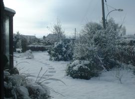 front garden after snow
