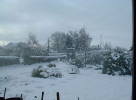 front garden after snow