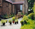 pots outside the front door